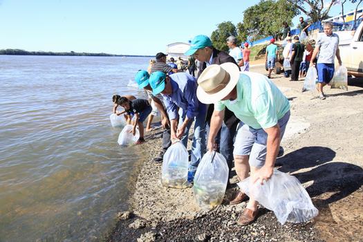 Os peixes foram soltos em diversos pontos do rio e também nas margens