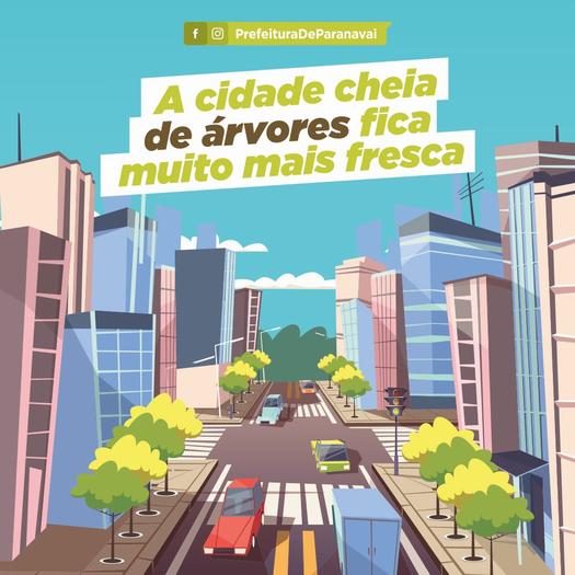 Prefeitura lança campanha de replantio de árvores no perímetro urbano de Paranavaí