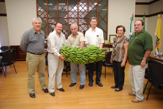 Seagri e Emater querem estimular cultura da banana em Paranavaí