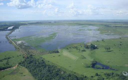 Nível da água está cerca de quatro metros acima do normal nos rios Paraná e Ivaí
