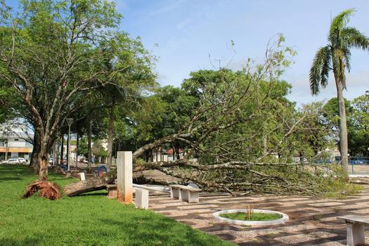 Estragos do vendaval na Praça dos Pioneiros, em Paranavaí
