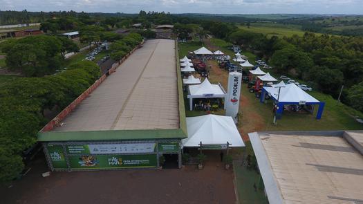 Paraná sediará terceira edição da Feira Internacional da Mandioca (Fiman), em Paranavaí