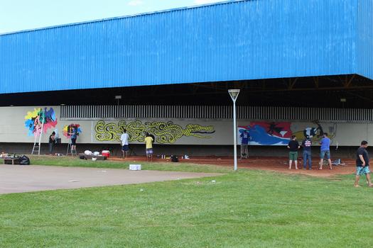 Paredes do Noroestão são transformadas em painéis para grafiteiros mostrarem sua arte, em Paranavaí
