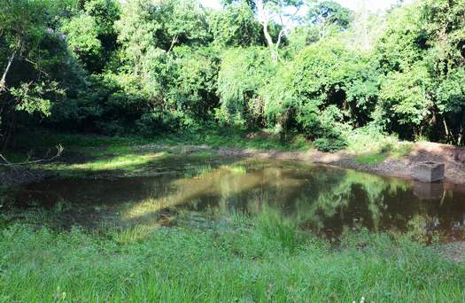 A limpeza do lago faz parte do projeto de revitalização do bosque municipal de Paranavaí