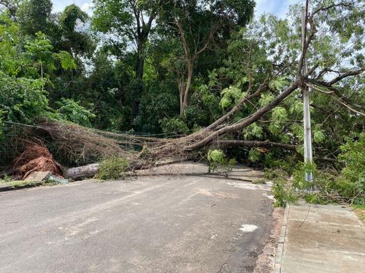 Município substitui decreto de emergência em decorrência de temporal, em Paranavaí