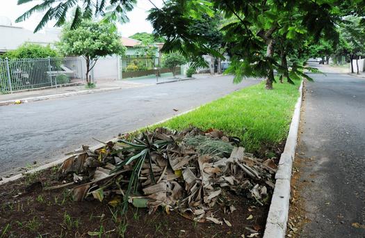 Flagrante de depósito de entulhos no canteiro central da Avenida Parigot de Souza