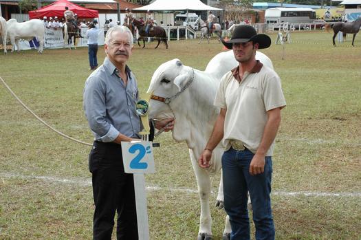 Os animais vencedores receberão troféus e pontuação para o ranking nacional, em Paranavaí