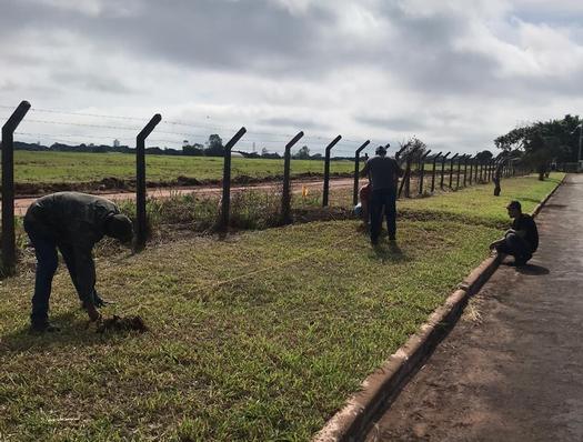 Município vai plantar 70 mudas de Ipê no Aeroporto Edu Chaves, em Paranavaí