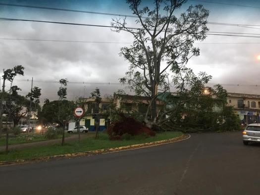 Ventos de 100 km/h causam estragos em Paranavaí