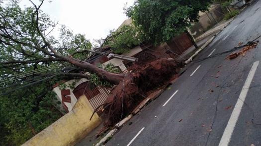 Temporal causa danos em diversos bairros de Paranavaí