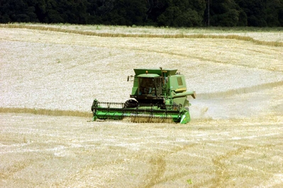 Mesmo com a estiagem, Paraná terá aumento na produção de feijão e milho